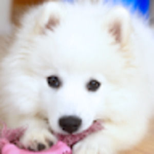 Meet your Posher, Aimee